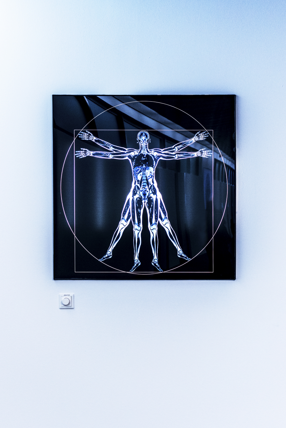 Vitruvian Lady: Ganzkörperscan  in Anlehnung an Leonardo da Vinci