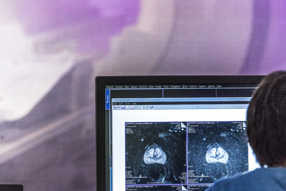 Blick vom Kontrollraum zum MAGNETOM Terra