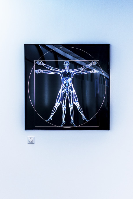 Vitruvian Lady: Ganzkörperscan  in Anlehnung an Leonardo da Vinci