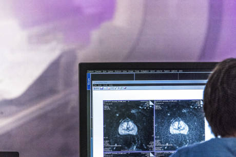 Blick vom Kontrollraum zum MAGNETOM Terra