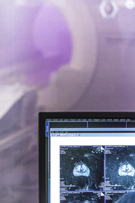 Blick vom Kontrollraum zum MAGNETOM Terra