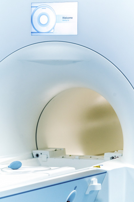 Detailaufnahme des MAGNETOM  Terra