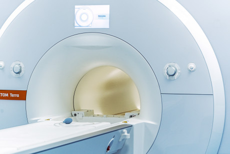 Detailaufnahme des MAGNETOM  Terra