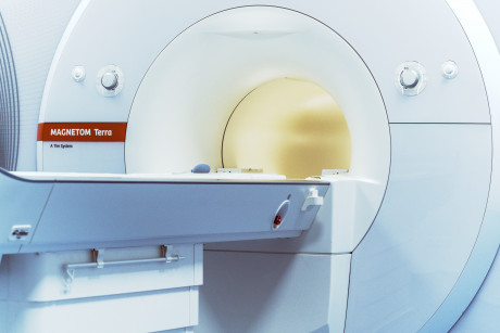 Detailaufnahme des MAGNETOM  Terra