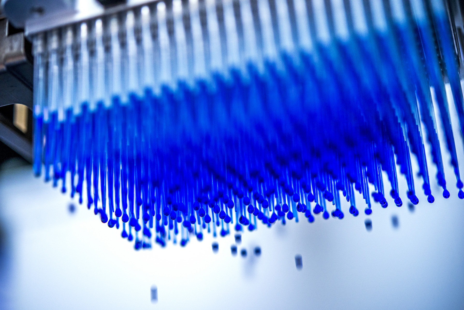 Pipettierkopf mit 384 Pipetten.