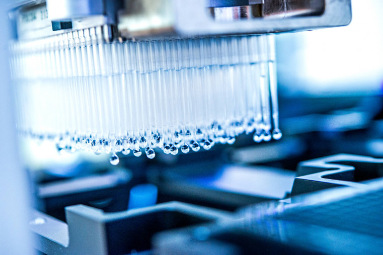 Pipettierkopf mit 384 Pipetten.